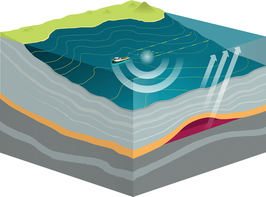 crossection of a seismic survey