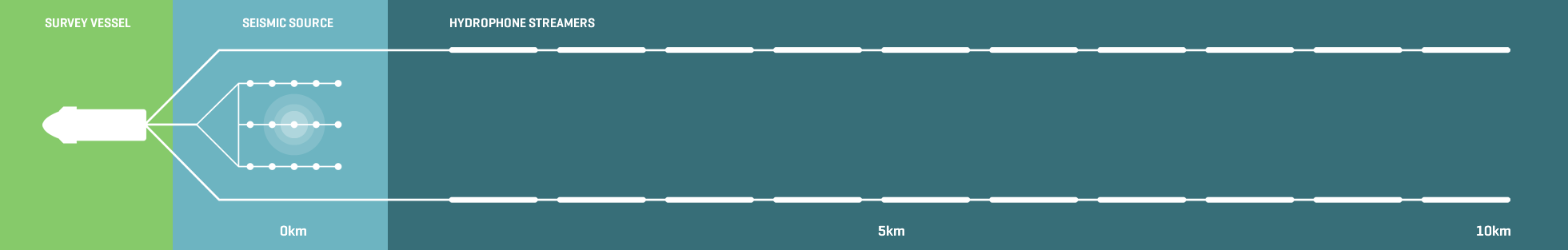 diagram survey vessel seismic source and hydrophone streamers