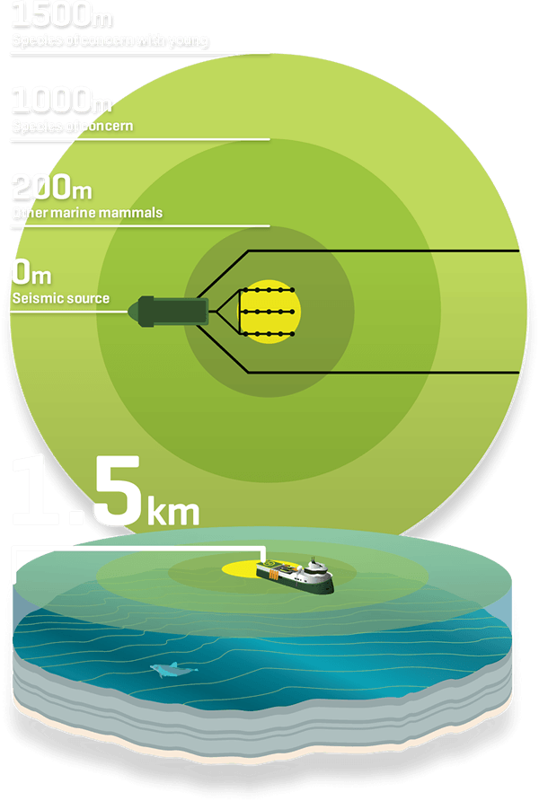 crossection of seismic survey zones